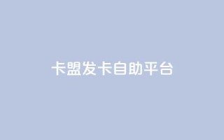 卡盟发卡自助平台,刷QQ访客量软件 - qq免费一万访客网站 - qq主页点赞怎么能上十万