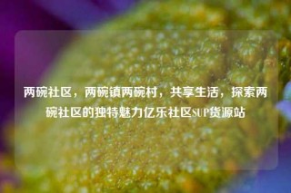 两碗社区，两碗镇两碗村，共享生活，探索两碗社区的独特魅力亿乐社区SUP货源站