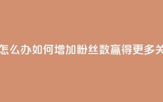 粉丝太少怎么办 - 如何增加粉丝数？赢得更多关注!