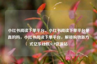 小红书阅读下单平台，小红书阅读下单平台是真的吗，小红书阅读下单平台，解锁购物新方式亿乐社区SUP货源站