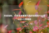 抖音涨粉，抖音营销策略与高效涨粉技巧亿乐社区SUP货源站