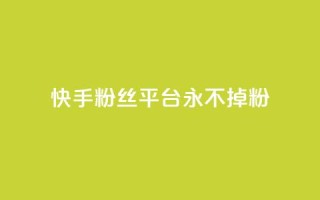 快手粉丝平台+永不掉粉,哔哩哔哩自助平台 - 斗音刷讚在线24 - 快手在线自助业务平台