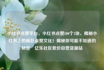 小红书点赞平台，小红书点赞100个1块，揭秘小红书上的疯狂点赞文化！揭秘你可能不知道的秘密✨亿乐社区低价自营货源站