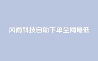 风雨科技自助下单全网最低 - 风雨科技提供全网最优自助下单服务！