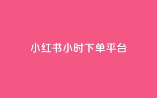小红书24小时下单平台 - 抖音一毛100个网址
