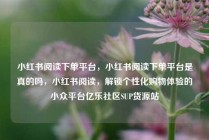 小红书阅读下单平台，小红书阅读下单平台是真的吗，小红书阅读，解锁个性化购物体验的小众平台亿乐社区SUP货源站
