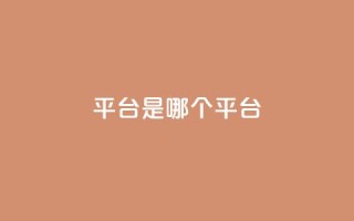 ks平台是哪个平台,dy24小时平台 - 快手充值链接 - ks粉丝