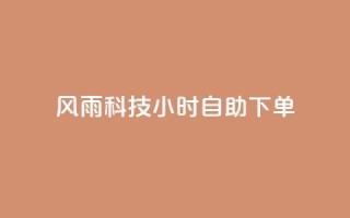 风雨科技24小时自助下单 - 风雨科技24小时自助服务订购！