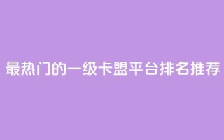 最热门的一级卡盟平台排名推荐