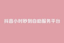 抖音24小时秒到自助服务平台,Ks24小时秒单业务平台 - 拼多多扫码助力网站 - 拼多多助力邀请