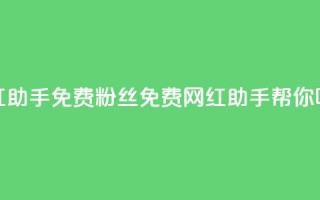 网红助手免费粉丝(免费网红助手帮你吸粉)