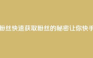 快手如何快速拥有1w粉丝 - 快速获取1w粉丝的秘密，让你快手上名声大噪！!