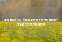 小红书刷粉丝，如何在小红书上高效积累粉丝？亿乐社区低价自营货源站