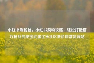 小红书刷粉丝，小红书刷粉攻略，轻松打造百万粉丝的秘密武器亿乐社区低价自营货源站