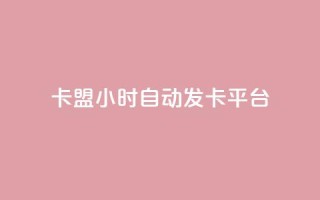 卡盟24小时自动发卡平台,QQ业务网24小时自助下单免费 - qq主页访客有记录吗 - 粉丝平台代理