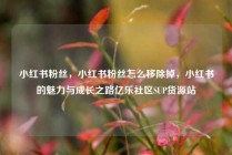 小红书粉丝，小红书粉丝怎么移除掉，小红书的魅力与成长之路亿乐社区SUP货源站