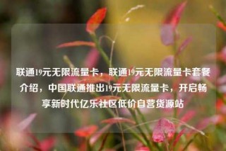 联通19元无限流量卡，联通19元无限流量卡套餐介绍，中国联通推出19元无限流量卡，开启畅享新时代亿乐社区低价自营货源站