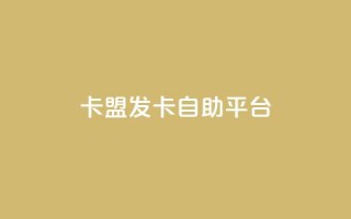 卡盟发卡自助平台,刷QQ访客量软件 - qq免费一万访客网站 - qq主页点赞怎么能上十万
