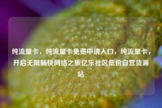 纯流量卡，纯流量卡免费申请入口，纯流量卡，开启无限畅快网络之旅亿乐社区低价自营货源站
