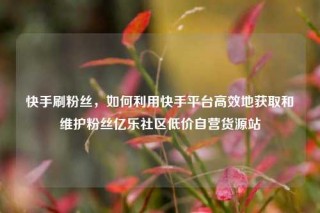 快手刷粉丝，如何利用快手平台高效地获取和维护粉丝亿乐社区低价自营货源站