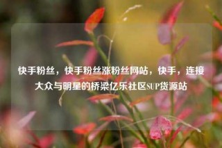 快手粉丝，快手粉丝涨粉丝网站，快手，连接大众与明星的桥梁亿乐社区SUP货源站