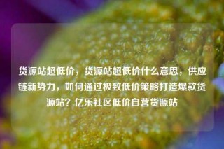 货源站超低价，货源站超低价什么意思，供应链新势力，如何通过极致低价策略打造爆款货源站？亿乐社区低价自营货源站
