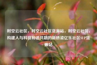 时空云社区，时空云社区货源站，时空云社区，构建人与科技和谐共融的新桥梁亿乐社区SUP货源站