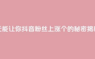 1元能让你抖音粉丝上涨100个的秘密揭秘