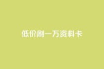 低价刷一万qq资料卡,抖音业务24小时在线下单商城 - 抖音24小时自助服务平台免费 - 快手100个秒到张