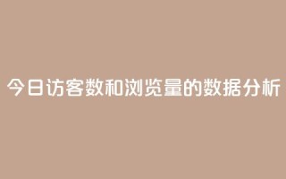 今日访客数和浏览量的数据分析