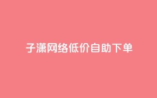 子潇网络低价自助下单 - 潇网络推出自助下单服务，低价更实惠~