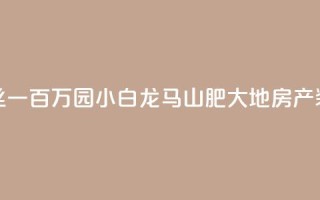 快手粉丝一百万0.01园小白龙马山肥大地房产装修网站,快手买热度网站 - 0.01元,小白龙马山有限责任公司 - 刷钻卡盟网站官方入口 - 抖音快手点赞粉丝的网站