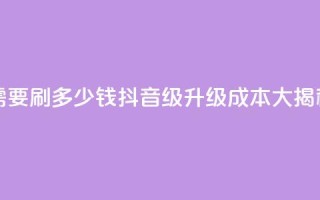 抖音1-60级需要刷多少钱 - 抖音1-60级升级成本大揭秘!