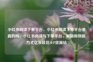 小红书阅读下单平台，小红书阅读下单平台是真的吗，小红书阅读与下单平台，解锁购物新方式亿乐社区SUP货源站