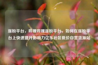 涨粉平台，哔哩哔哩涨粉平台，如何在涨粉平台上快速提升影响力亿乐社区低价自营货源站