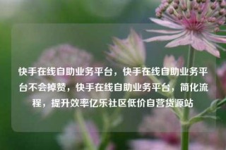 快手在线自助业务平台，快手在线自助业务平台不会掉赞，快手在线自助业务平台，简化流程，提升效率亿乐社区低价自营货源站