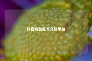 抖音粉丝账号交易平台