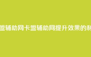 卡盟辅助网(卡盟辅助网：提升SEO效果的利器)