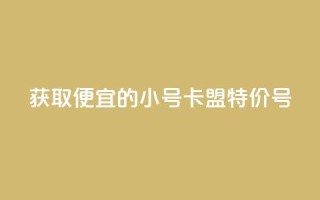 获取便宜的QQ小号：卡盟特价号