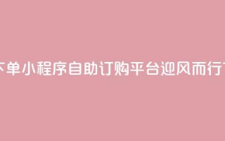 自助下单小程序 - 自助订购平台迎风而行!