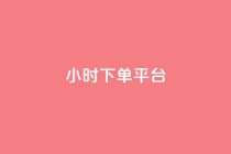 ks24小时下单平台,抖音买站0.5块钱100个 - 抖音卖粉丝 - 低价货源卡网辅助科技