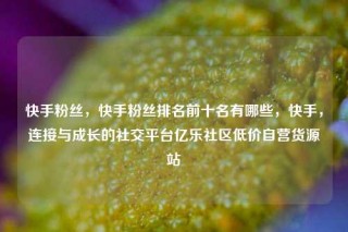 快手粉丝，快手粉丝排名前十名有哪些，快手，连接与成长的社交平台亿乐社区低价自营货源站