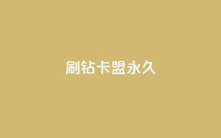 qq刷钻卡盟永久,qq带刷网卡盟 - 抖音涨粉丝的工具有哪些 - 178云网络售卡平台