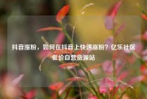 抖音涨粉，如何在抖音上快速涨粉？亿乐社区低价自营货源站