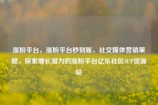 涨粉平台，涨粉平台秒到账，社交媒体营销策略，探索增长潜力的涨粉平台亿乐社区SUP货源站