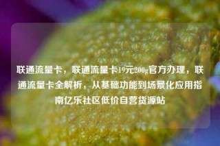 联通流量卡，联通流量卡19元200g官方办理，联通流量卡全解析，从基础功能到场景化应用指南亿乐社区低价自营货源站