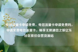 电信流量卡申请免费，电信流量卡申请免费吗，申请免费电信流量卡，畅享无限通信之旅亿乐社区低价自营货源站