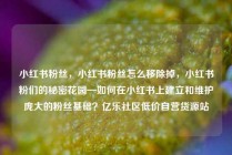 小红书粉丝，小红书粉丝怎么移除掉，小红书粉们的秘密花园—如何在小红书上建立和维护庞大的粉丝基础？亿乐社区低价自营货源站