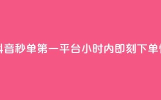 抖音秒单24小时下单平台 - 抖音秒单第一平台，24小时内即刻下单，快速实现购物愿望~