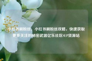 小红书刷粉丝，小红书刷粉丝攻略，快速获取更多关注的秘密武器亿乐社区SUP货源站